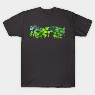 green ivy plant T-Shirt